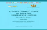 Government of Montenegro - Vienna Economic 15/04/2008 آ  Government of Montenegro Invest in Montenegro