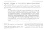 Genetic diversity in Tetrachaetum elegans , a mitosporic ... Genetic diversity in Tetrachaetum elegans,