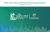 XXIX International Mineral Processing Congressimpc- Mineral Processing Moderator â€“ Tatiana Yushina,