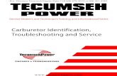 TECUMSEH TecumsehPower - JustAnswer ... TecumsehPower strongly recommends the use of fresh clean unleaded