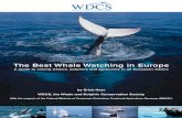 The Best Whale Watching in Europe - Cetacean The Best Whale Watching in Europe A guide to seeing whales,