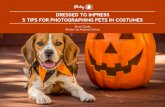 DRESSED TO IMPRESS 5 TIPS FOR ... DRESSED TO IMPRESS: 5 TIPS FOR PHOTOGRAPHING PETS IN COSTUMES // آ©