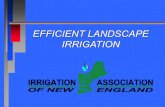 EFFICIENT LANDSCAPE Nationally Certified Landscape Water Manager, Irrigation Designer, Contractor, Auditor