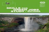 SKILLS FOR GREEN JOBS SKILLS FOR GREEN JOBS STUDY - GUYANA Forest Law Enforcement Governance and Trade
