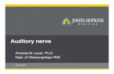 Auditory nerve - Home | UConn Health Cochlear damage changes auditory nerve responses Auditory nerve