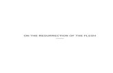 ON THE RESURRECTION OF THE FLESH - Public Librarypublic- 2014-09-28آ  on the resurrection of the flesh