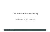 The Internet Protocol (IP) â€؛ ... â€؛ slides â€؛ 13_IP_ml.pdfآ  PPP RFC 1661 UDP (User Datagram Protocol)