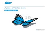 Apex Workbook - platform, and for Salesforce admins who want to delve more deeply into app development