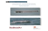 FINAL REPORT- DOLPHINS OF KAKADU ... humpback dolphins are small and are thought to be localised. A