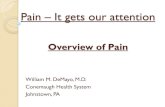 Overview of Pain - PA Polio Survivors Network Sacroiliac Dysfuncion Anatomy & Physiology important Posture