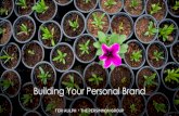 Building Your Personal Brand - MemberClicks Your... Your presence Professional Presence Your Network