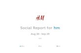 Social Report for hm - Klear Fans include Twitter followers, Facebook likes, and Instagram followers