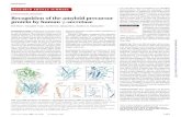 g STRUCTURAL BIOLOGY Recognition of the amyloid precursor ... linked to Alzheimerâ€™s disease (AD).We
