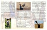 Falconry - How my idea came along - create a group of ... ... 1) To represent falconry throughout the