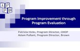 Program Improvement through Program Evaluation Program Evaluation Patricia Hicks, Program Director,