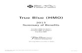 Idaho Health Insurance - True Blue (HMO) ... True Blue (HMO) 2013 Summary of Benefits True Blue (HMO)