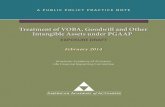 Treatment of VOBA, Goodwill and Other Intangible Assets ...· A PUBLIC POLICY PRACTICE NOTE Treatment of VOBA, Goodwill and Other Intangible Assets under PGAAP April 1, 2014 . Developed