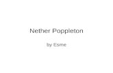 Nether Poppleton by Esme