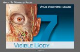 L'Atlas d'anatomie humaine de Visible Body 7 - iPhone