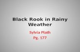 Black Rook in Rainy Weather Sylvia Plath Pg. 177.