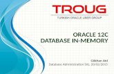 Oracle 12c Database In Memory DBA SIG