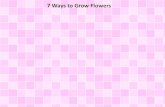 7 Ways to Grow Flowers