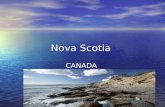 Nova Scotia CANADA. Nova Scotia Red Spruce, May Flower, Osprey (Bird) Flag Red Spruce, May Flower, Osprey (Bird) Flag.
