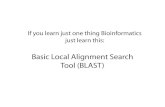 Homology Search: Basic Local Alignment Search Tool (BLAST)