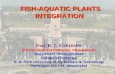Fish-Aquatic Plants Integration