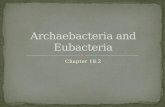 Archaebacteria and Eubacteria