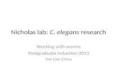 Nicholas lab:  C. elegans  research
