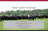 Beef Cattle Outlook