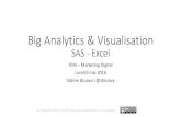 Big Analytics & Visualisation