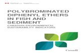 Polybrominated diphenyl ethers in fish and sediment Polybrominated diphenyl ethers (PBDEs) are commonly