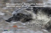 Minnesotans' attitudes toward wolves and wolf management animals lost to wolves, 2) kill wolves that