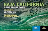 & THE SEA OF CORTEZ - Lindblad Expeditions BAJA CALIFORNIA & THE SEA OF CORTEZ CELEBRATING 35 YEARS