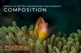 BASICS OF BETTER UNDERWATER PHOTOGRAPHY COMPOSITION COMPOSITION â€£ Horizontal or Vertical Orientation