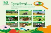 Woodland spotter sheet - Fastly Oak tree Squirrel Blue Tit Woodpecker Badger Red Kite Red Admiral Black