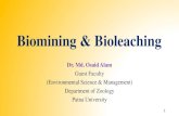 Bioleaching and Biomining - ¢â‚¬¢Biomining encompasses two processes: 1. Bioleaching: Bioleaching is the