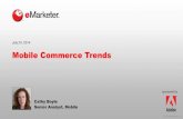 eMarketer Webinar: Mobile Commerce Trends WEB