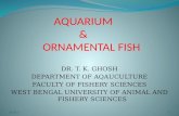Aquarium and ornamental fish ppt