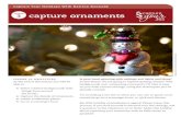 LESSON 3 capture ornaments - Cloud Object .capture ornaments Capture Your ... on you with camera