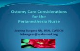 Perianesthesia Nurses Ostomy Talk