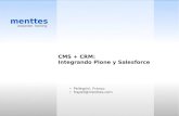 CMS + CRM: Integrando Plone y Salesforce