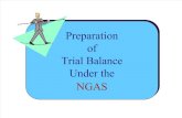 6.Prep of Trial Balance