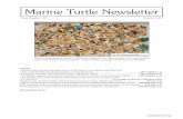 Marine Turtle Newsletter - Rufford Foundation Marine Turtle Newsletter...  Marine Turtle Newsletter