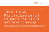 The Five Foundational Pillars of B2B eCommerce - Magento ? Â· The Five Foundational Pillars of B2B eCommerce Page 1 Introduction For most of its 60 years in business, animal health