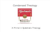 Condensed Theology, Lecture 15: Theology, God as Trinity: One True God; God in Three Persons