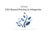 Setup CSV Based Pricing in Magento