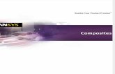 ANSYS COMPOSITS R14